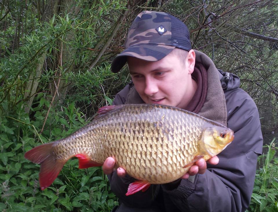 giant 4lb rudd on a boilie.jpg